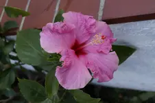 _DSC6954.webp