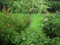 SAM_5190.webp