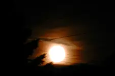 Vollmond_0141.webp