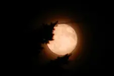 Vollmond_0142.webp
