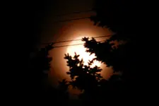 Vollmond_0144.webp
