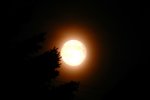 Vollmond_0145.JPG