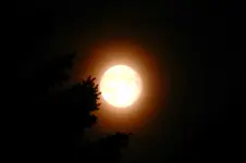 Vollmond_0145.webp