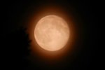 Vollmond_0147.JPG