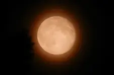 Vollmond_0147.webp