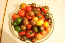 IMG_4140.webp