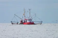nordsee.webp
