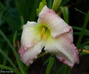 IMG_4637.webp