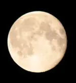 Mond 140811_2.webp