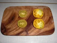 CIMG9748.webp