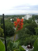 PICT6454.jpg