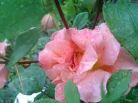2014-08-13 18.11.31.webp