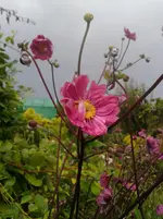 2014-08-13 18.13.10.webp