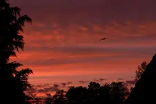 Abendhimmel_0003.webp