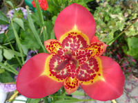 P1180338.webp
