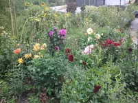 IMG_0297.webp