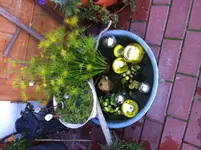 Foto 1.webp Foto 1.webp