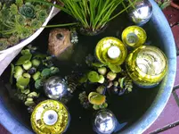 Foto 2.webp Foto 2.webp