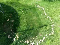 20140814_135416.webp