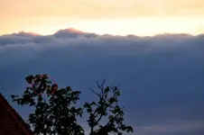 Turmfalke_21406.webp