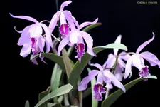 IMG_2364 - Kopie.webp