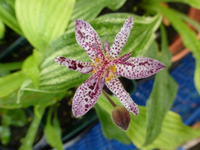 P1180600.webp