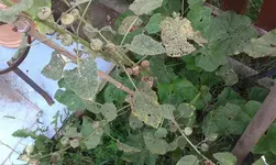 20140815_103142.webp