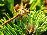 K1024_427r.webp