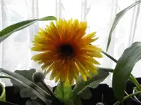 MeineFotos 015.webp