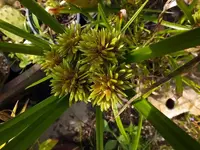 K800_DSCF4392.webp