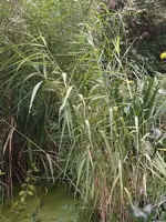 K800_DSCF4420.webp
