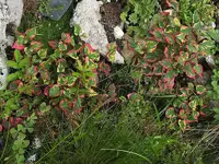 K800_DSCF4453.webp