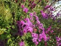 K800_DSCF4472.webp