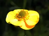 K800_DSCF4478.webp