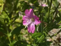 K800_DSCF4500.webp