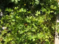 K800_DSCF4507.webp