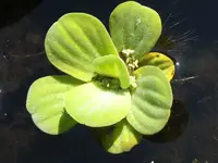 K800_DSCF4509.webp