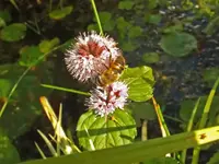 K800_DSCF4542.webp