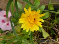 P1150731.webp