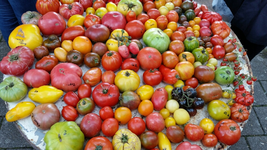 tmp_12246-2014-08-16 13.20.15-754010410.webp