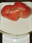 DSC_0308_gut_gewogen.jpg