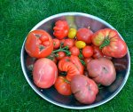 DSC_0278_Gruppenfoto.jpg