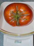 DSC_0286_Fleischtomate.jpg