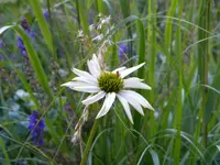 DSCN9327.webp