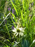 DSCN9329.webp