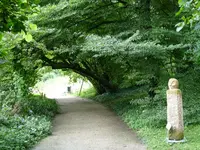 verwunschene Wege.webp