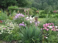 004.webp
