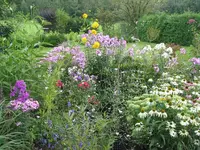 005.webp