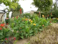 DSCN1253.webp