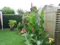 DSCN1256.webp
